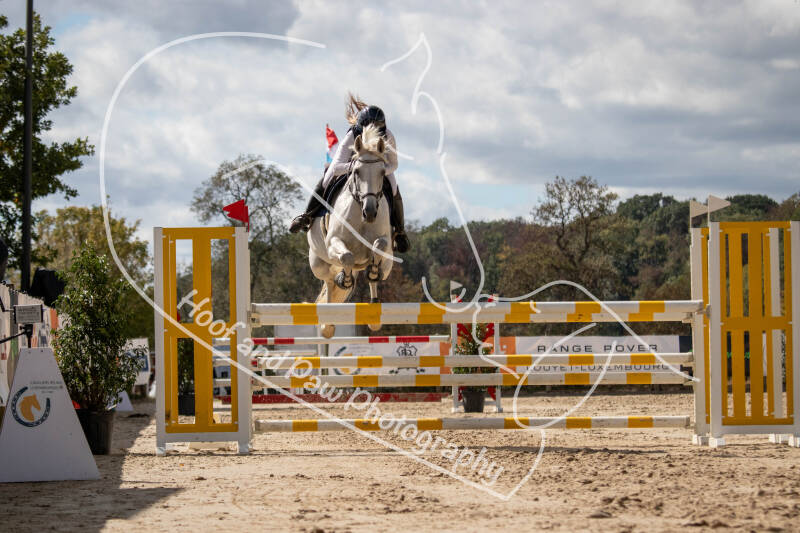 bouferterhaff-jumping-154-standard.jpg