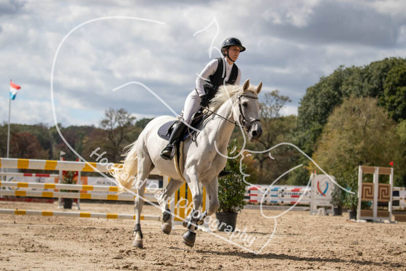 bouferterhaff-jumping-155-standard.jpg