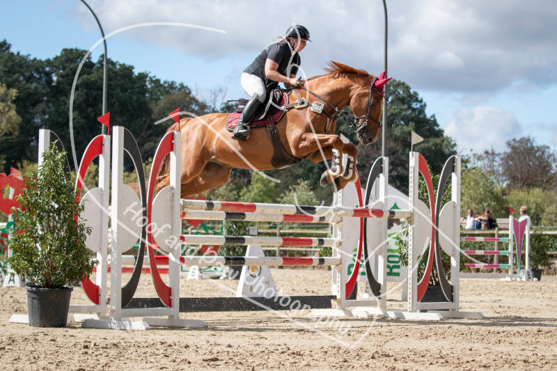 bouferterhaff-jumping-156-standard.jpg