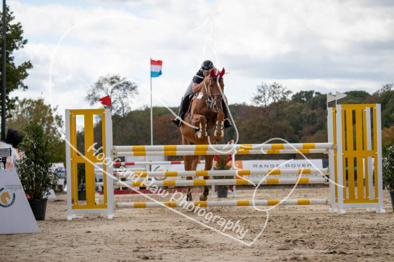 bouferterhaff-jumping-157-standard.jpg