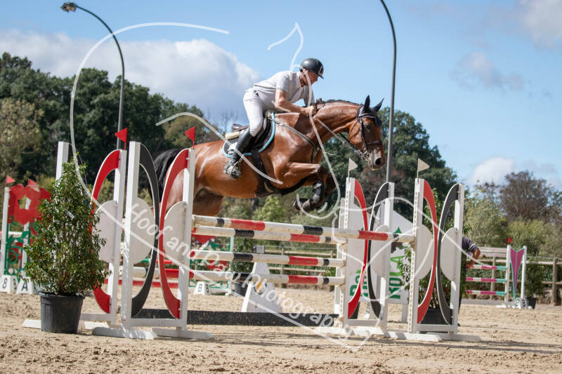 bouferterhaff-jumping-158-standard.jpg