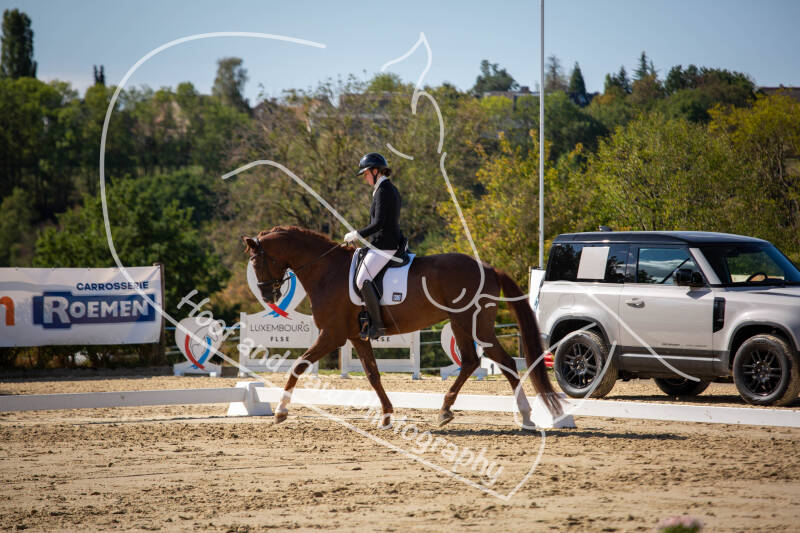 bouferterhaff-jumping-16-standard-2timtf.jpg