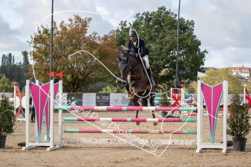 bouferterhaff-jumping-16-standard-6bljqj.jpg