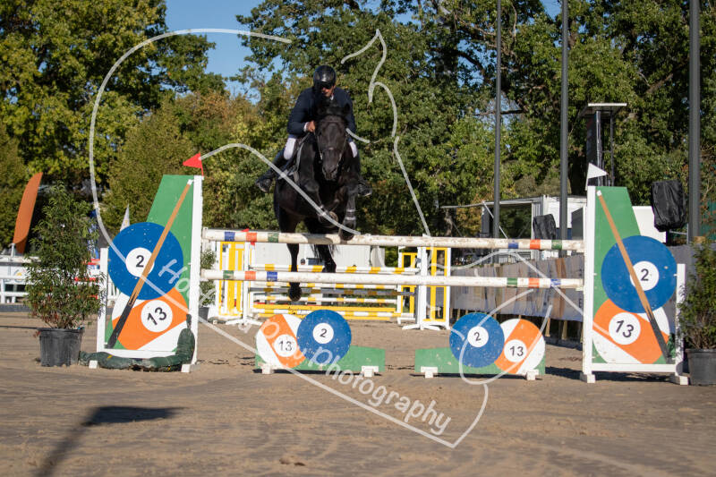 bouferterhaff-jumping-16-standard-ahr3j6.jpg