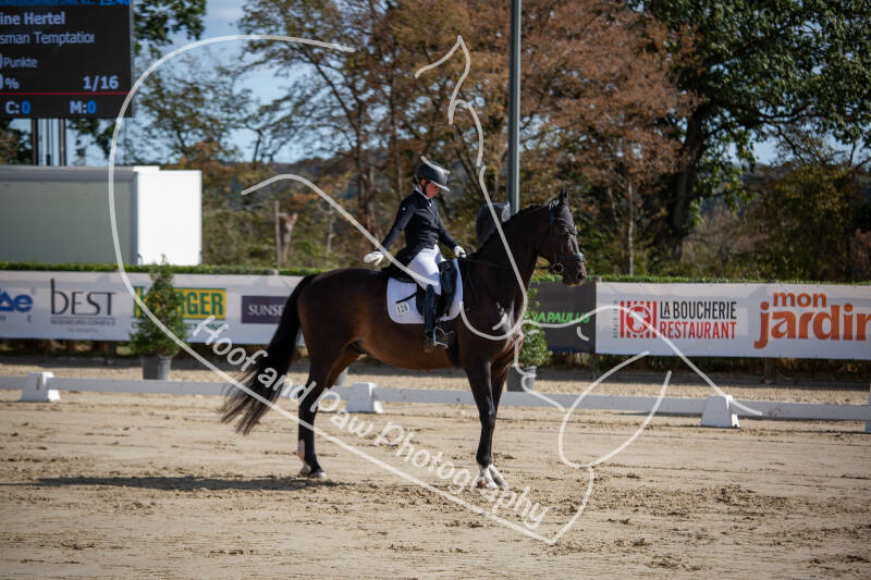 bouferterhaff-jumping-16-standard-hiotox.jpg
