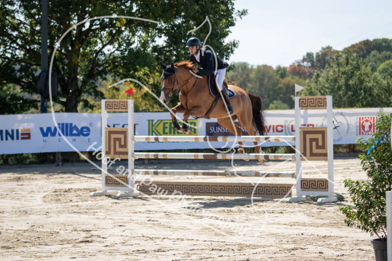 bouferterhaff-jumping-16-standard-jy4u6k.jpg