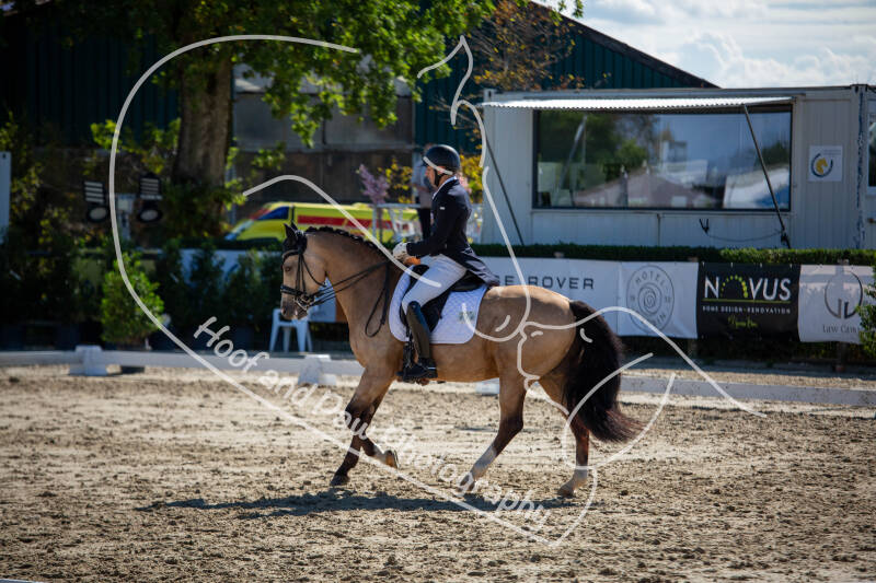 bouferterhaff-jumping-16-standard-l0touf.jpg
