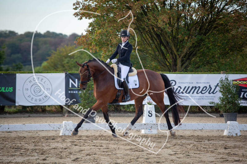 bouferterhaff-jumping-16-standard-qzc8lj.jpg