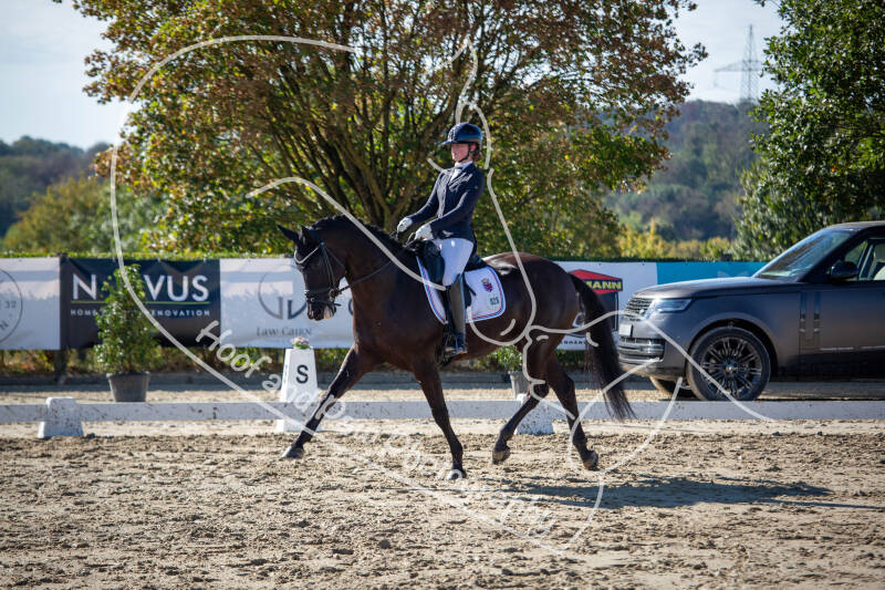 bouferterhaff-jumping-16-standard-t1s2zl.jpg