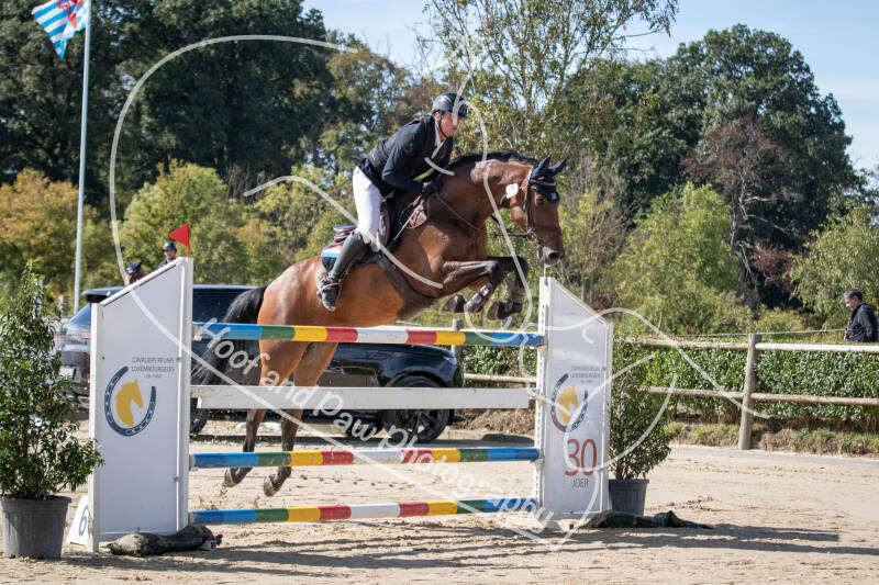 bouferterhaff-jumping-16-standard-unv1oh.jpg