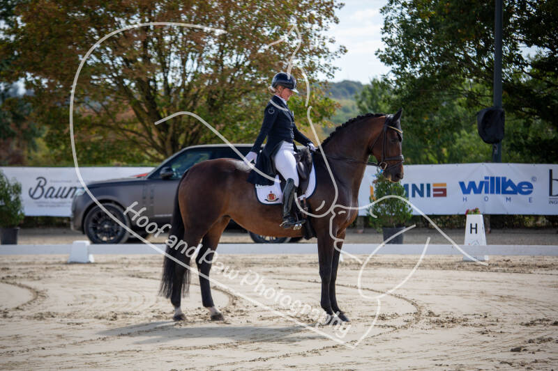 bouferterhaff-jumping-16-standard-vwotvy.jpg
