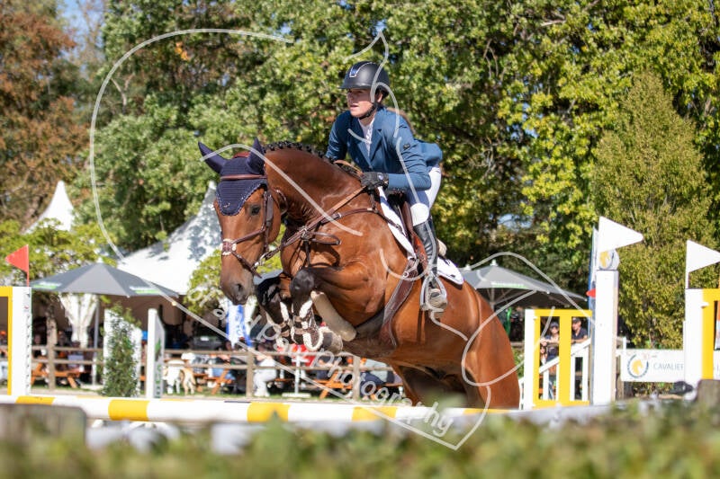 bouferterhaff-jumping-16-standard-wfhinj.jpg