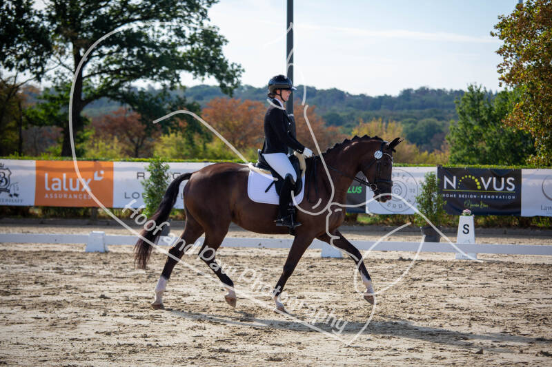 bouferterhaff-jumping-16-standard-wft7ha.jpg