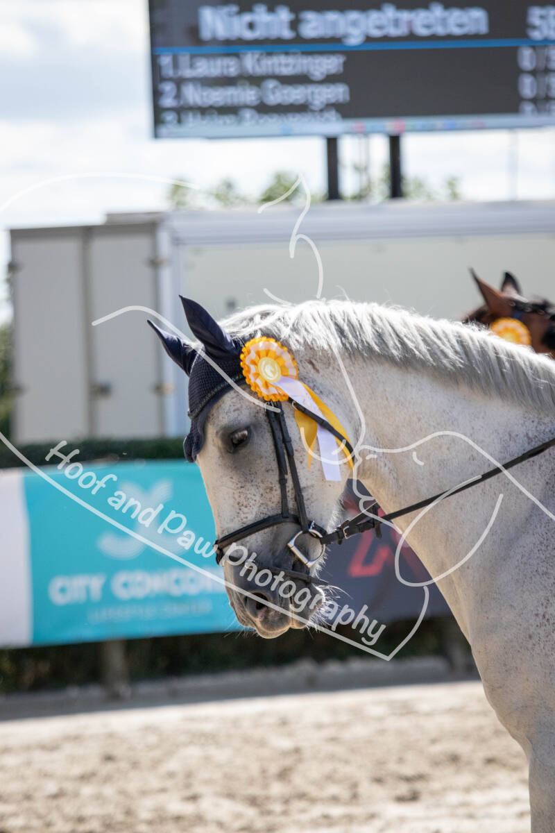 bouferterhaff-jumping-167-standard.jpg