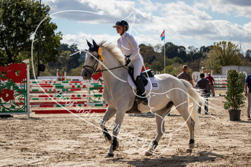 bouferterhaff-jumping-168-standard.jpg