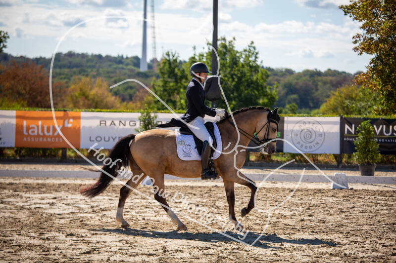 bouferterhaff-jumping-17-standard-b82kqs.jpg