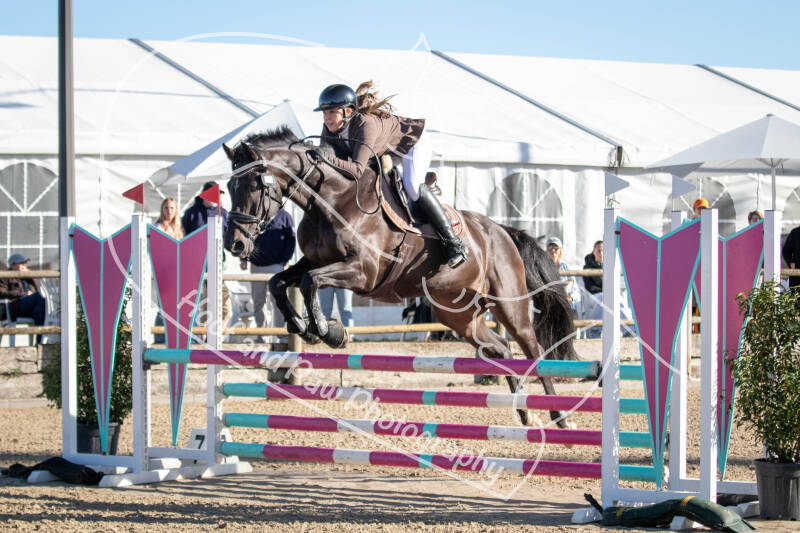 bouferterhaff-jumping-17-standard-jx3nbs.jpg