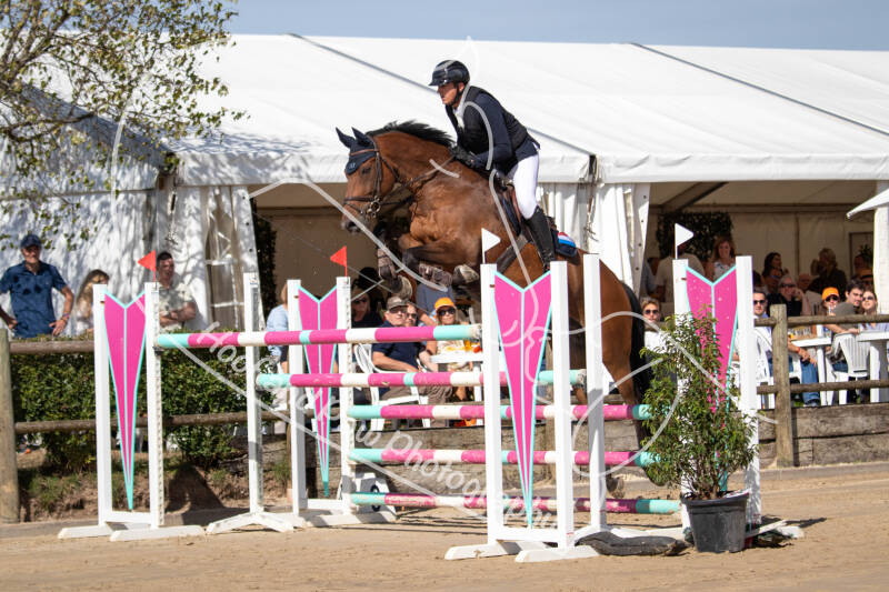 bouferterhaff-jumping-17-standard-mz77wv.jpg