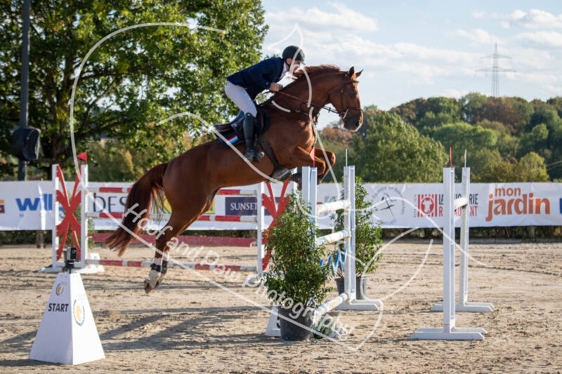 bouferterhaff-jumping-17-standard-n5x48c.jpg