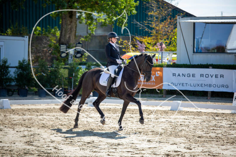 bouferterhaff-jumping-17-standard-o5wftt.jpg