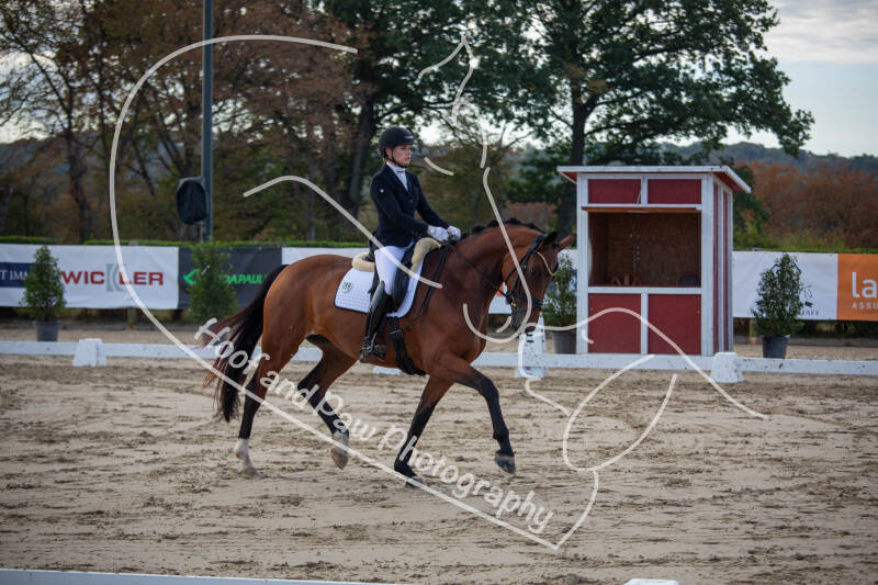 bouferterhaff-jumping-17-standard-okh5qj.jpg