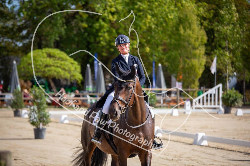 bouferterhaff-jumping-17-standard-qmt6uj.jpg