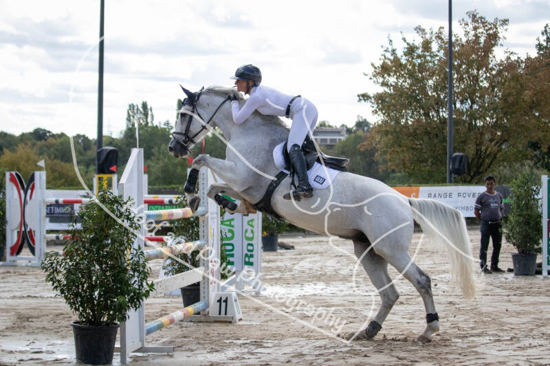 bouferterhaff-jumping-17-standard-svbwph.jpg