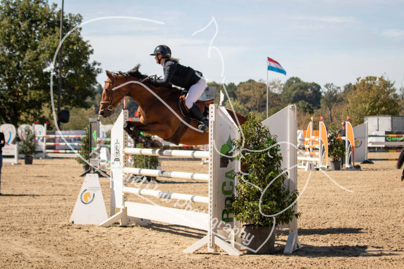 bouferterhaff-jumping-17-standard-z3ss1j.jpg