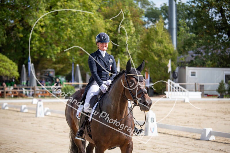 bouferterhaff-jumping-18-standard-5bnusv.jpg