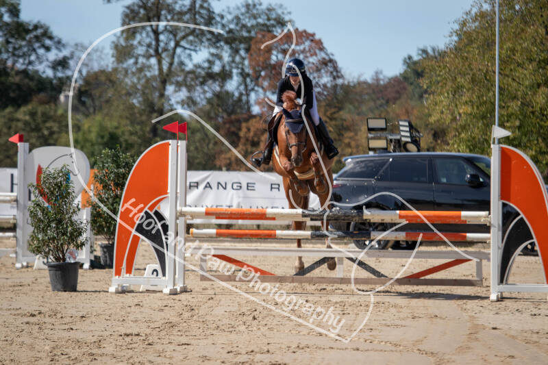 bouferterhaff-jumping-18-standard-ayepd2.jpg