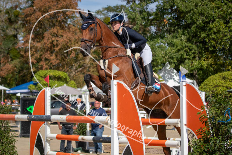 bouferterhaff-jumping-18-standard-f9ghkp.jpg