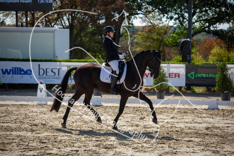 bouferterhaff-jumping-18-standard-itrzw9.jpg