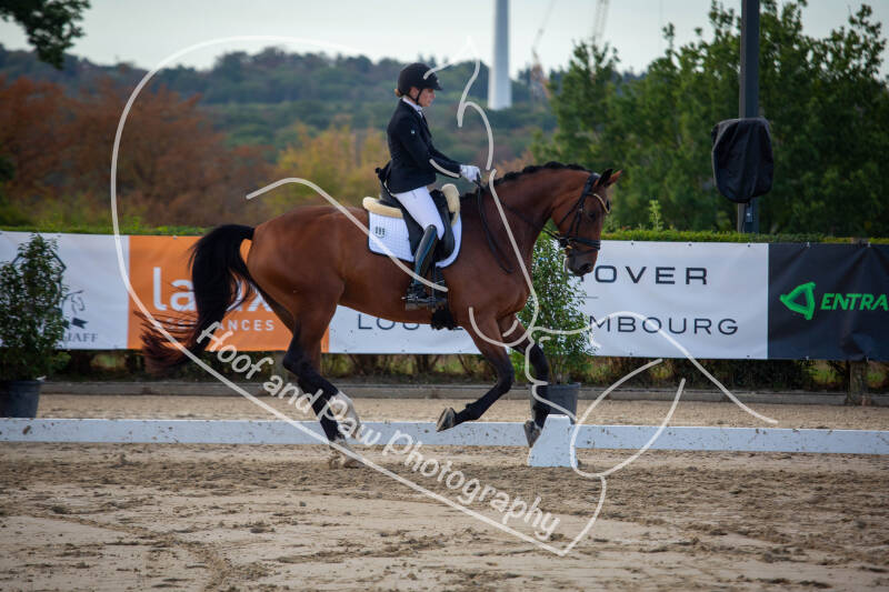 bouferterhaff-jumping-18-standard-jzdz8v.jpg