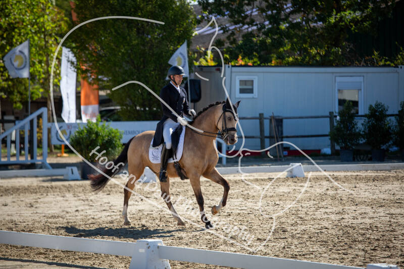 bouferterhaff-jumping-18-standard-rcxh2b.jpg
