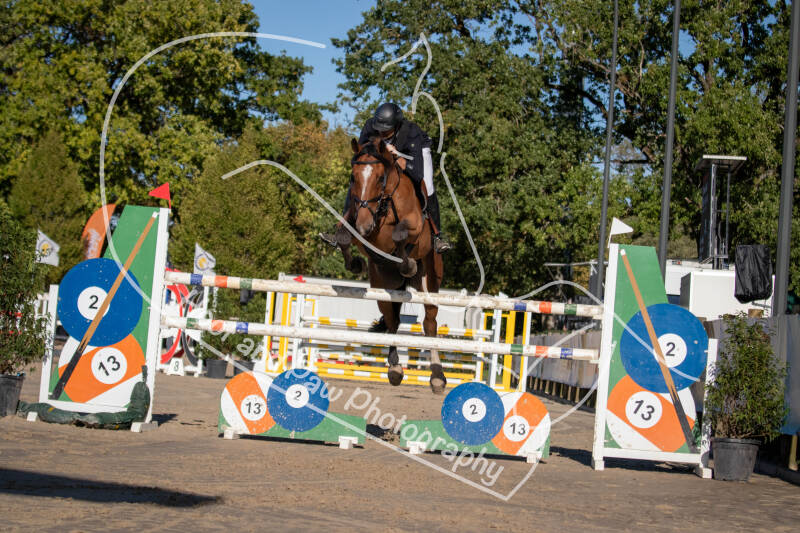 bouferterhaff-jumping-19-standard-akpmiq.jpg