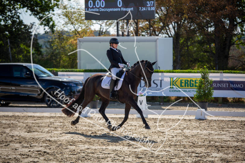 bouferterhaff-jumping-19-standard-bl7uyk.jpg
