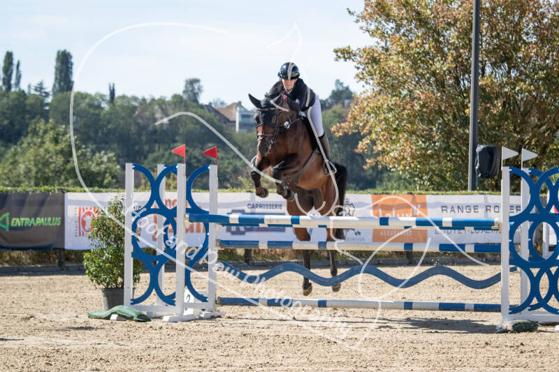bouferterhaff-jumping-19-standard-glbhmu.jpg