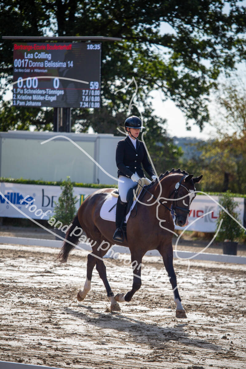 bouferterhaff-jumping-19-standard-ldcydj.jpg
