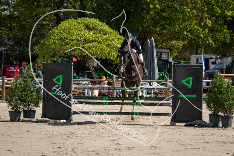 bouferterhaff-jumping-19-standard-qsyh5k.jpg