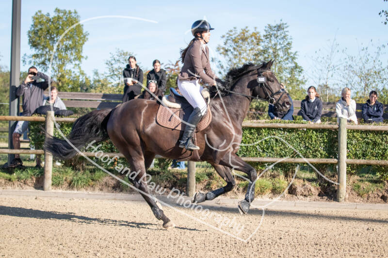 bouferterhaff-jumping-19-standard-tqvt7h.jpg