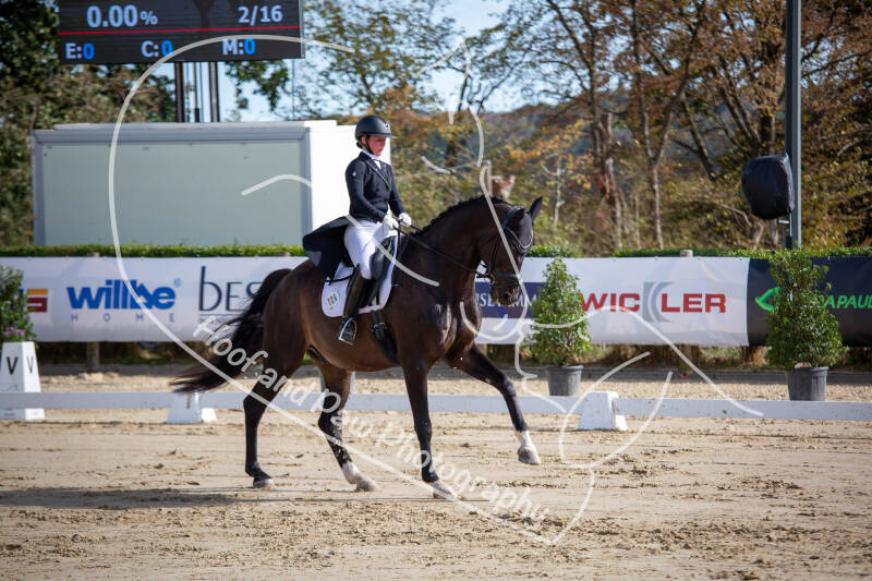 bouferterhaff-jumping-19-standard-wyv8id.jpg