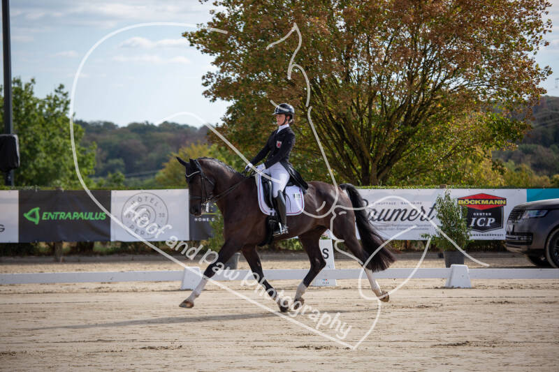 bouferterhaff-jumping-2-standard-43pi8g.jpg