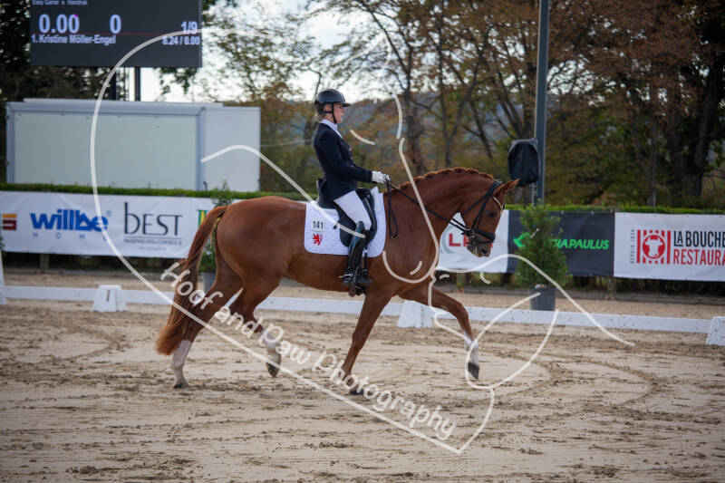 bouferterhaff-jumping-2-standard-4501lm.jpg