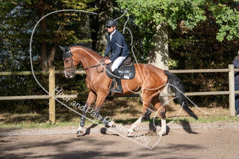 bouferterhaff-jumping-2-standard-93nht0.jpg