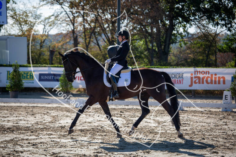 bouferterhaff-jumping-2-standard-96dmfw.jpg
