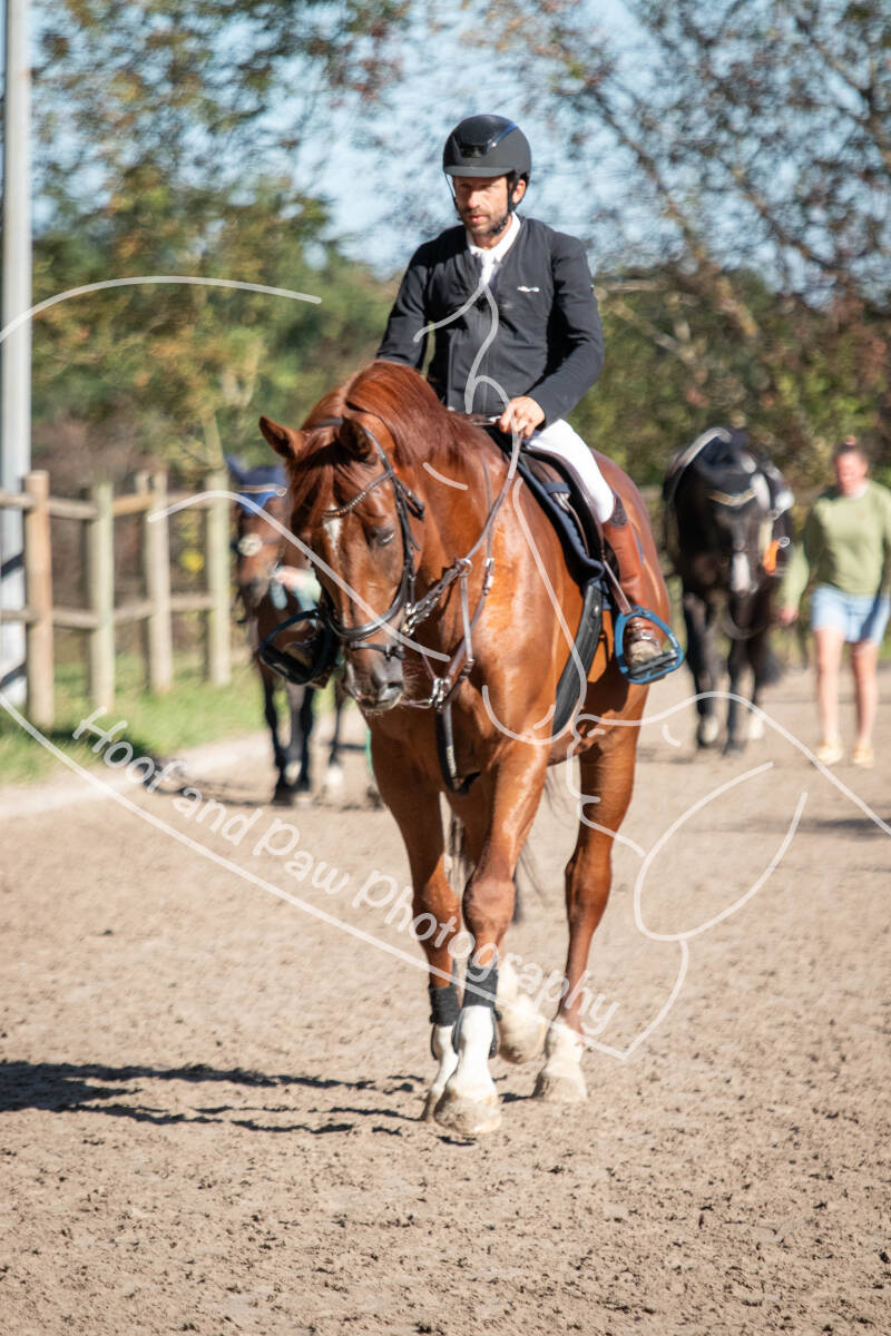 bouferterhaff-jumping-2-standard-cfdxy7.jpg