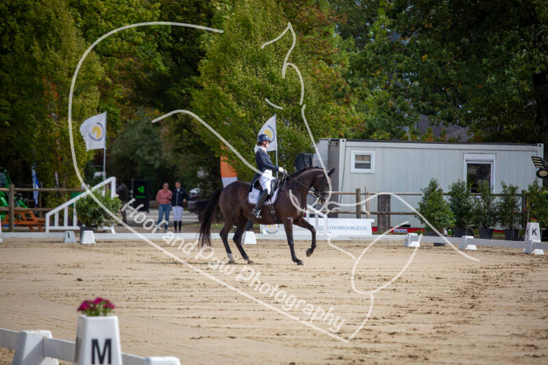 bouferterhaff-jumping-2-standard-ip7zm6.jpg
