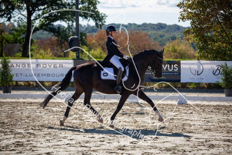 bouferterhaff-jumping-2-standard-q61jlp.jpg