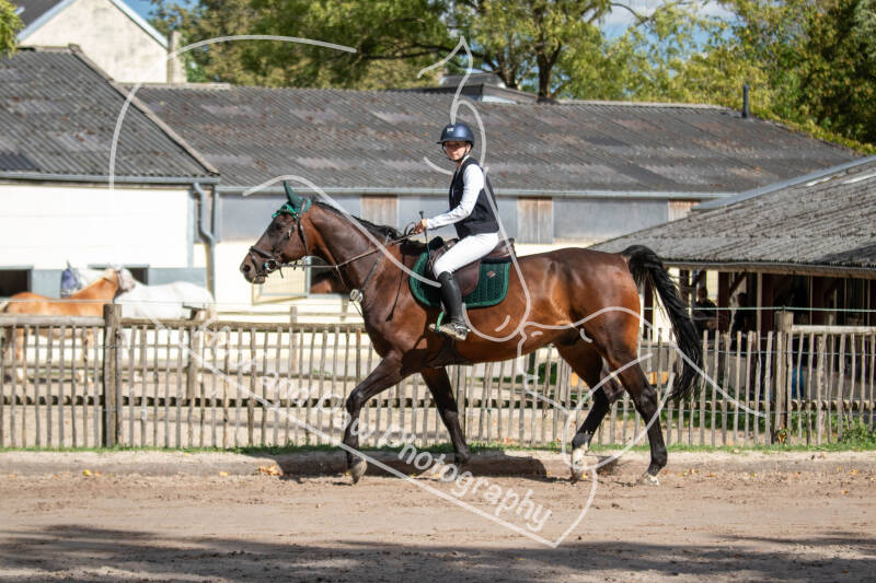 bouferterhaff-jumping-2-standard-y4lwhn.jpg