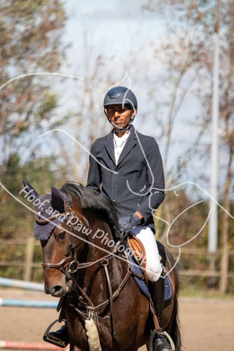 bouferterhaff-jumping-2-standard.jpg